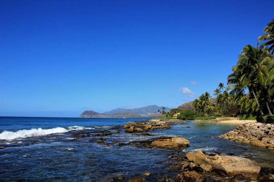 West Oahu: Dolphin Watch & Snorkel Sail - Snorkeling with fish, coral, and possible sea turtles