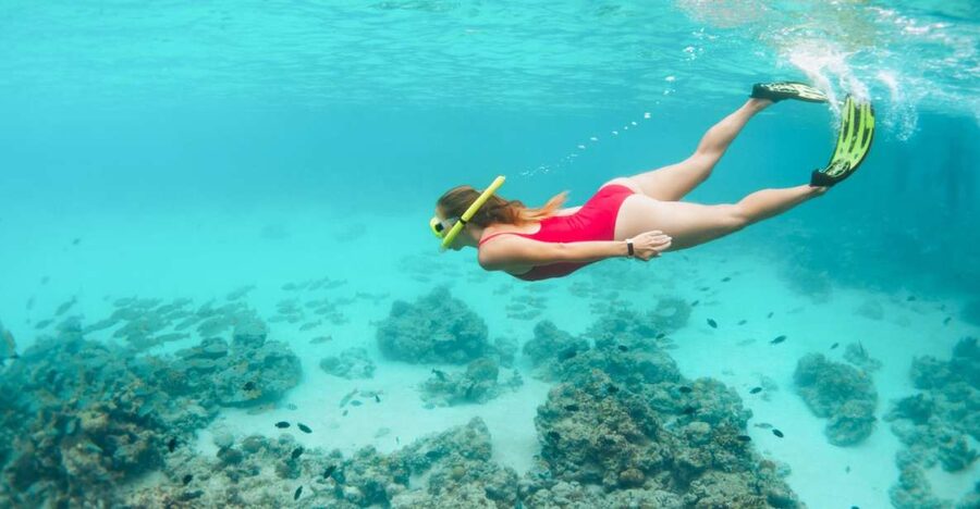 West Oahu: Turtles, Dolphins, and Snorkeling Tour with Lunch - Leaving from Waiʻanae Small Boat Harbor
