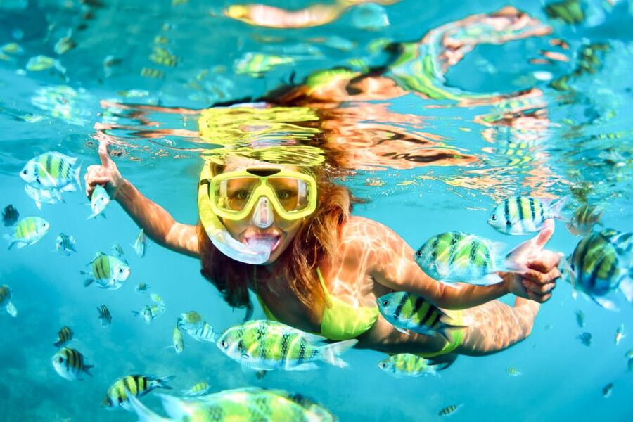 West Oahu: Turtles, Dolphins, and Snorkeling Tour with Lunch - Snorkeling with turtles and reef fish