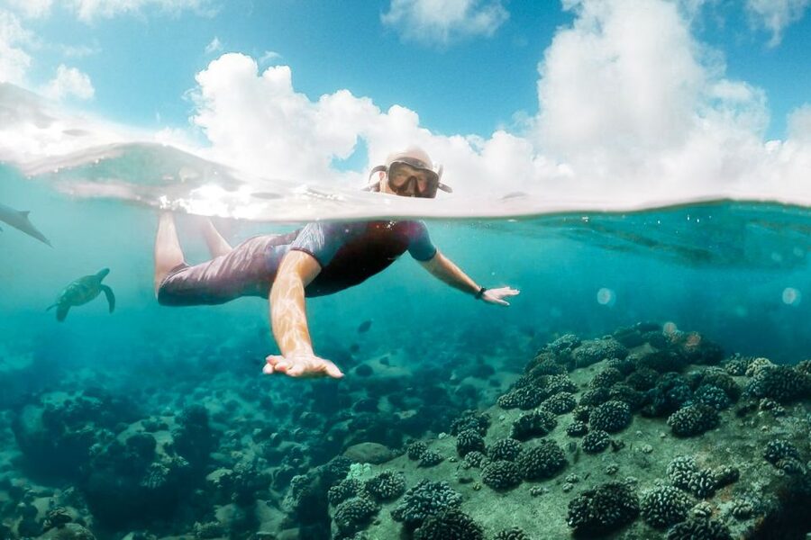 West Oahu: Turtles, Dolphins, and Snorkeling Tour with Lunch - The crew is a major part of the experience