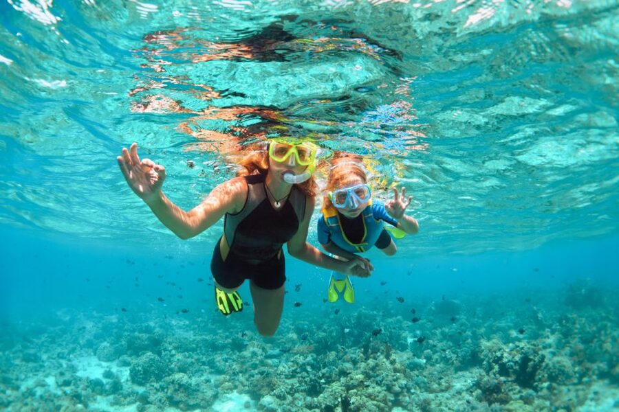 West Oahu: Turtles, Dolphins, and Snorkeling Tour with Lunch - How weather and sea conditions can change the day