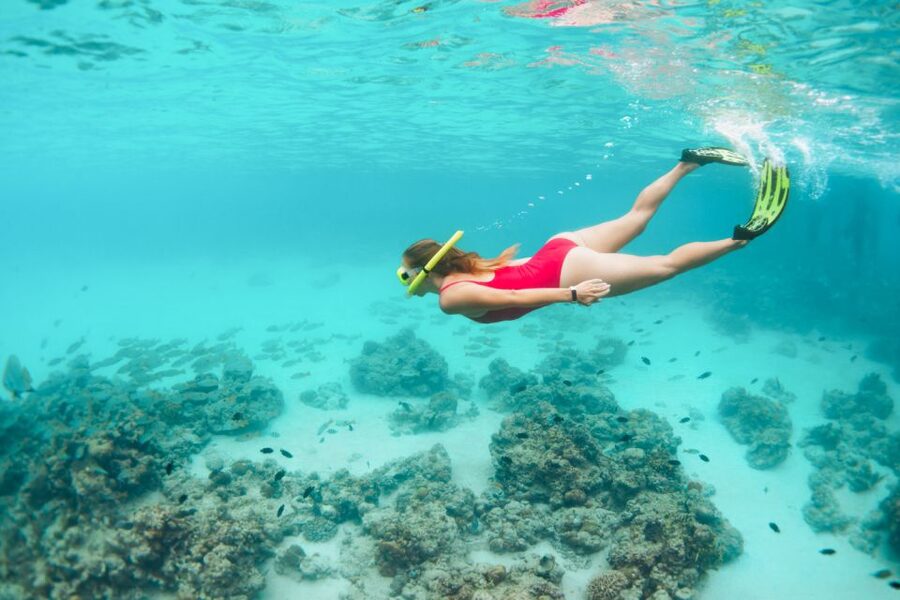 West Oahu: Turtles, Dolphins, and Snorkeling Tour with Lunch - Who should book this West Oʻahu cruise?