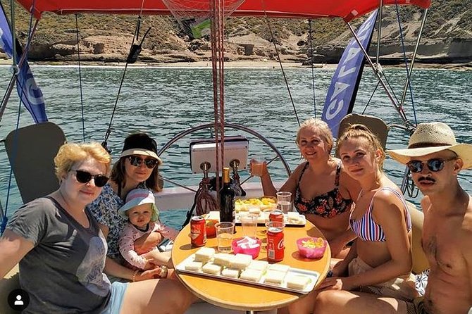 Whale and Dolphin Small Group Sailing from Tenerife South - Key points before you book