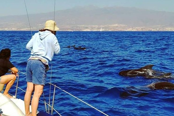 Whale and Dolphin Small Group Sailing from Tenerife South - Why the small boat changes the experience