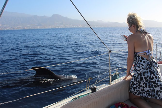Whale and Dolphin Small Group Sailing from Tenerife South - Leaving Puerto Colón for the open water