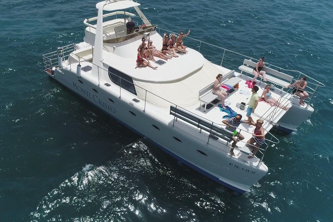 Whale and Dolphin Watching Catamaran with Transfer and Buffet - Key points to know before you book
