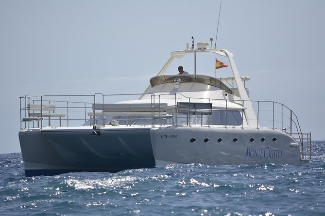 Whale and Dolphin Watching Catamaran with Transfer and Buffet - Three hours with whales, dolphins, and a camera
