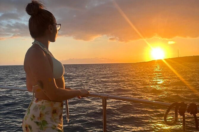 Whale and Dolphin Watching Catamaran with Transfer and Buffet - Tapas, drinks, and the swimming stop