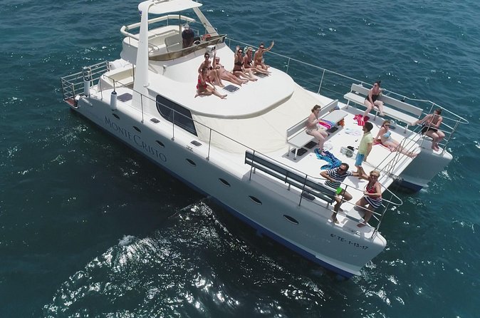 Whale and Dolphin Watching Catamaran with Transfer and Buffet - Seasickness, comfort, and who should take this trip