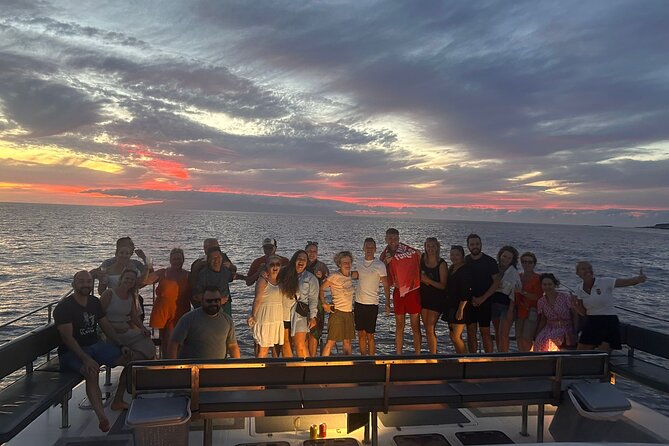 Whale and Dolphin Watching Catamaran with Transfer and Buffet - Booking details and cancellation