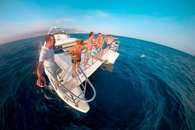 Whale and Dolphin Watching Catamaran with Transfer and Buffet - Puerto Colón to open water