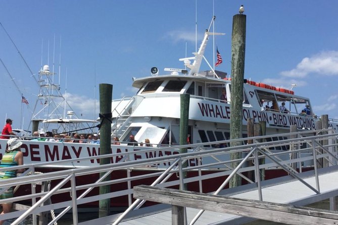 Whale and Dolphin Watching Cruise from Cape May - Choosing your place on the boat