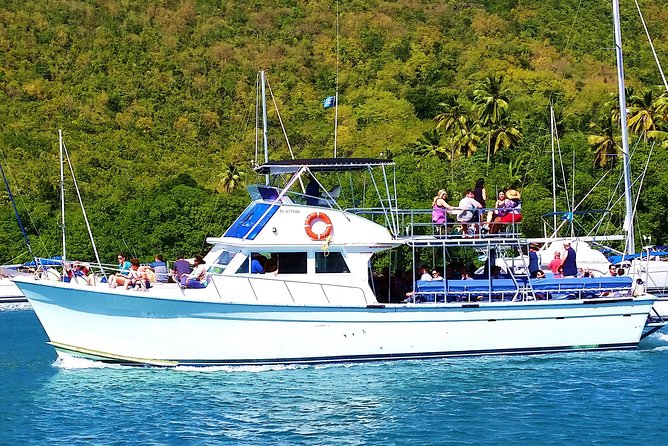 Whale and Dolphin Watching Cruise in St Lucia - Drinks, comfort, and seasickness
