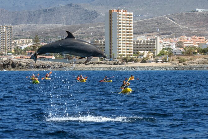 Whale and Dolphin Watching EcoAdventure in Tenerife - A small boat with a close view of the sea