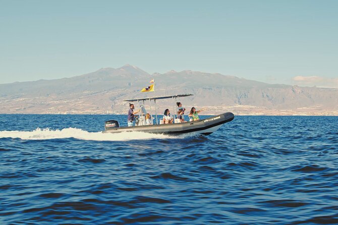 Whale and Dolphin Watching EcoAdventure in Tenerife - Responsible watching and marine conservation