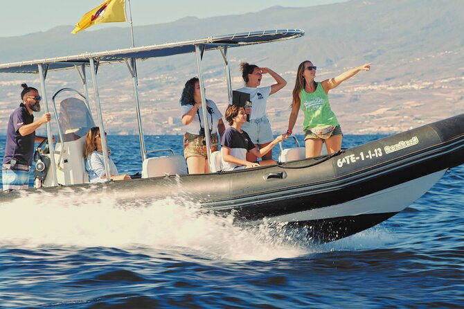 Whale and Dolphin Watching EcoAdventure in Tenerife - Who will enjoy this most