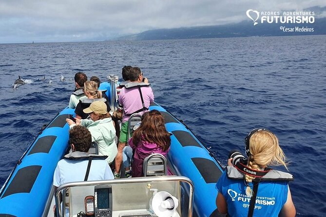 Whale and dolphin watching in Pico Island - Three hours on Pico’s Atlantic waters