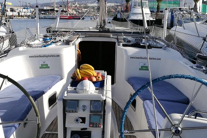 Whale and Dolphin Watching Sailing Boat with Drinks, Snacks and Swimming Time - The swim and snorkel stop