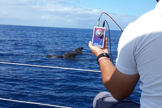 Whale and Dolphin Watching Sailing Boat with Drinks, Snacks and Swimming Time - Comfort, sea conditions, and safety