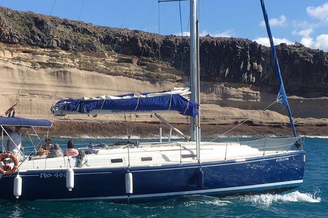 Whale and Dolphin Watching Sailing Boat with Drinks, Snacks and Swimming Time - Is $78.44 a fair price?