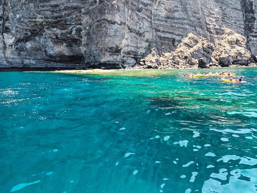 Whale and Dolphin Watching Sailing Tour – Los Gigantes (3H) - Swimming and snorkeling in a quiet cove