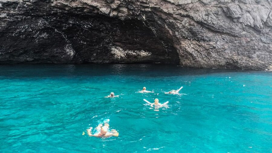 Whale and Dolphin Watching Sailing Tour – Los Gigantes (3H) - Who will enjoy this sailing tour most?