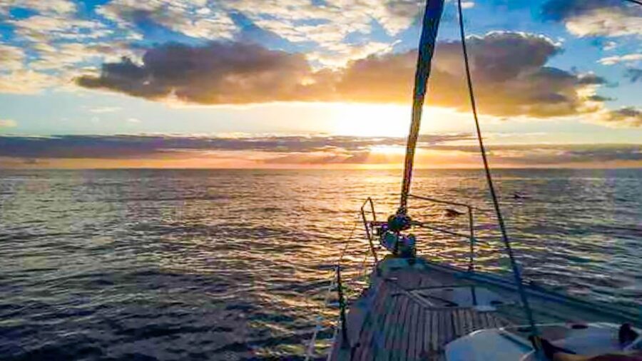 Whale and Dolphin Watching Sailing Tour – Los Gigantes (3H) - Booking details that affect your day