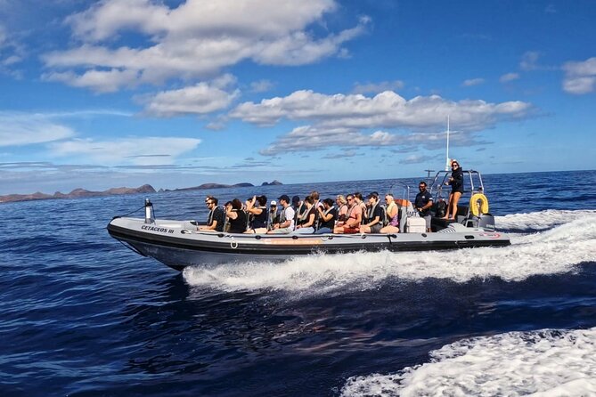 Whale and Dolphin Watching Tour from Funchal - Responsible Wildlife Watching, Not a Guaranteed Show