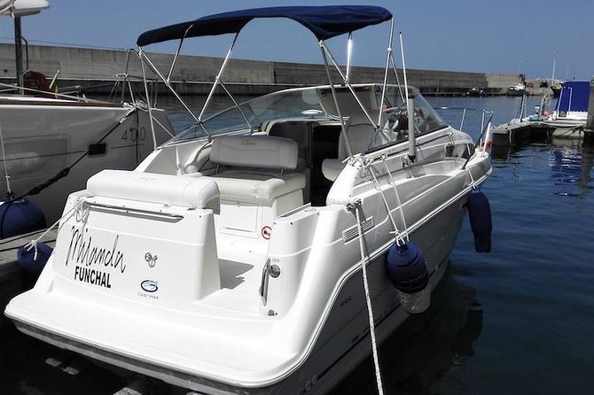 Whale and Dolphin Watching Tour in Madeira - Setting out from Calheta Marina
