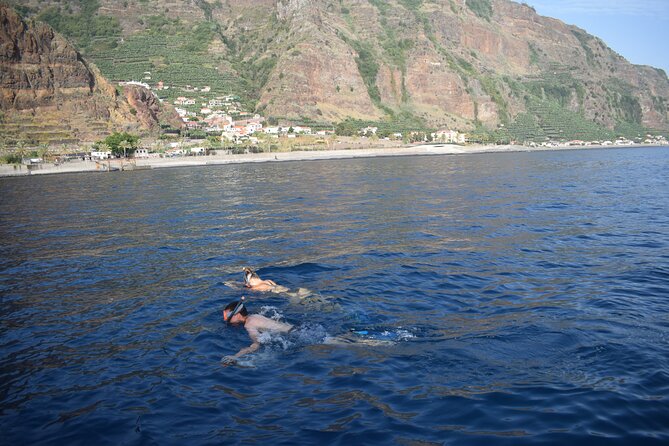 Whale and Dolphin Watching Tour in Madeira - Who will enjoy this tour most