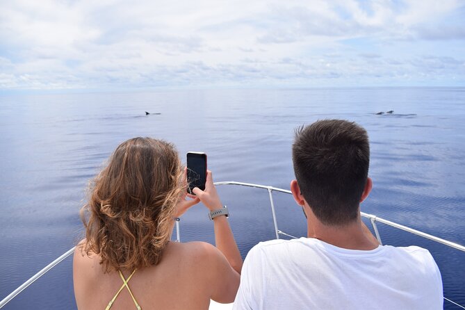 Whale and Dolphin Watching Tour in Madeira - Cruising the southwest coast for wildlife