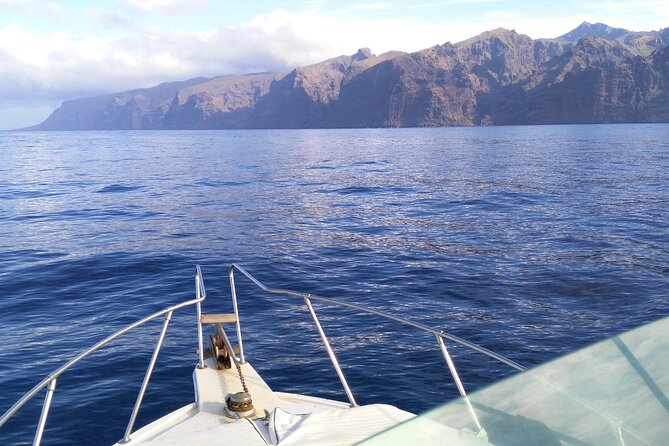 Whale and dolphin watching tour Los Gigantes and Masca in small groups - Weather, cancellation, and planning details