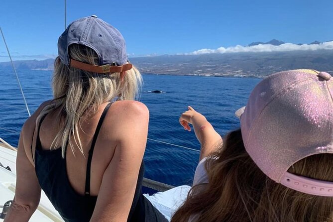 Whale and Dolphin Watching Yacht Trip in Puerto Colon - The special 7 p.m. sunset departure