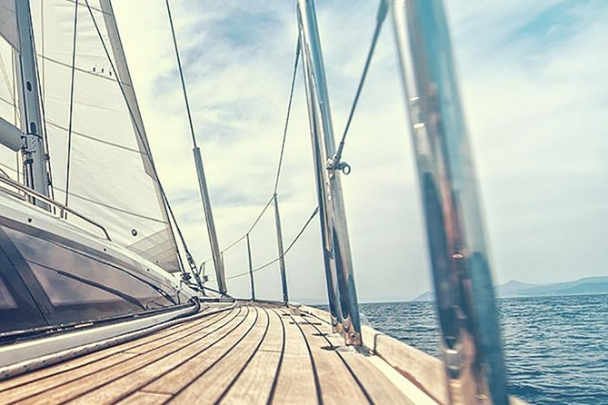 Whale and Dolphin Watching Yacht Trip in Puerto Colon - What the price means at $62.56