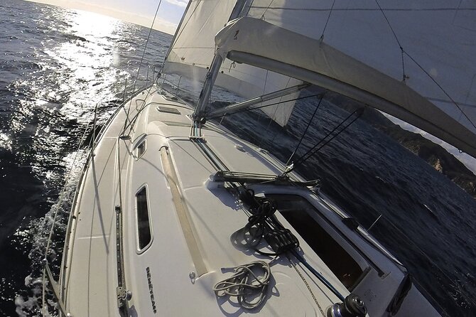 Whale & Dolphin Observation on Electric Sailing Boat in Denia - Is the $114.39 price fair?