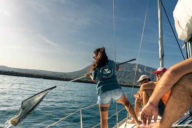 Whale & Dolphin Observation on Electric Sailing Boat in Denia - Should you book the Dénia whale and dolphin trip?