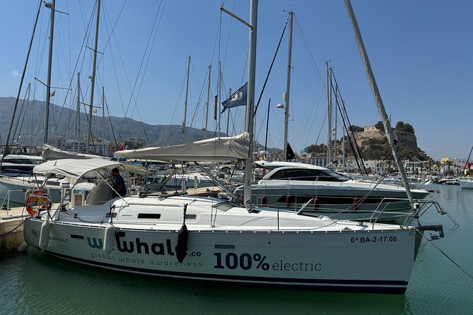 Whale & Dolphin Observation on Electric Sailing Boat in Denia - Wildlife watching without a promise