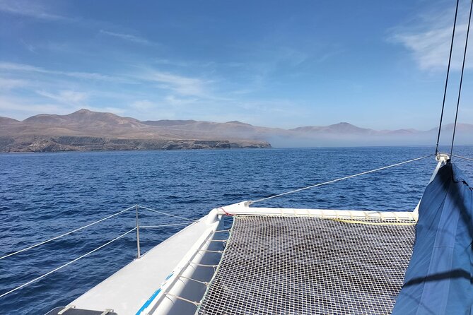 Whale & Dolphin Observation on Silent Catamaran with Hydrophone - Setting out from Puerto Calero at 9:00 am