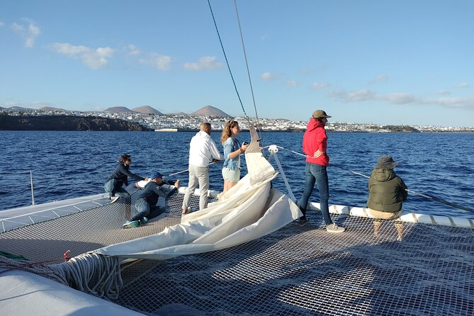 Whale & Dolphin Observation on Silent Catamaran with Hydrophone - Why the conservation work matters