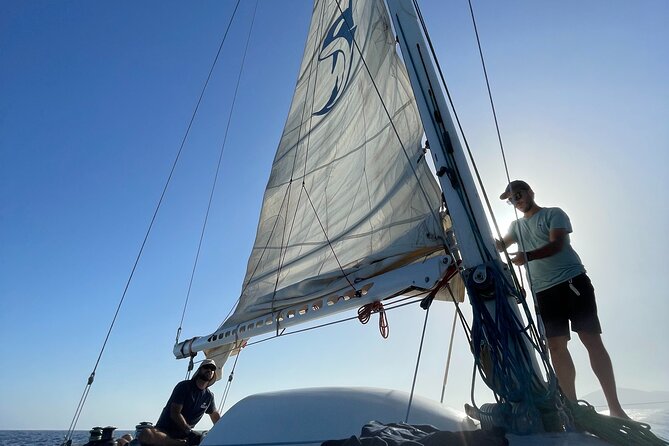 Whale & Dolphin Observation on Silent Catamaran with Hydrophone - Who will enjoy this Lanzarote outing?