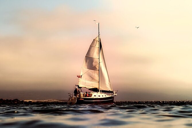Whale & Dolphin Watching Boat Trip in Tenerife On a Sailing Boat (3 Hr) - Searching for Tenerife’s whales and dolphins