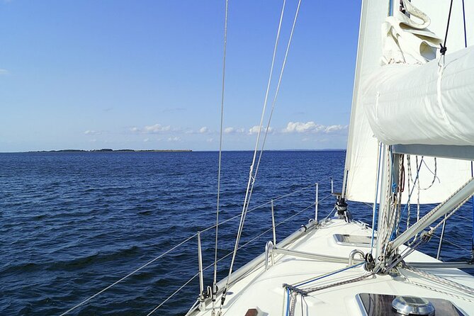 Whale & Dolphin Watching Boat Trip in Tenerife On a Sailing Boat (3 Hr) - A secluded-bay swim stop