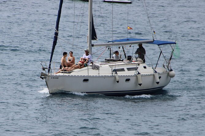 Whale & Dolphin Watching Boat Trip in Tenerife On a Sailing Boat (3 Hr) - Snacks, an open bar, and the real value of $52.35