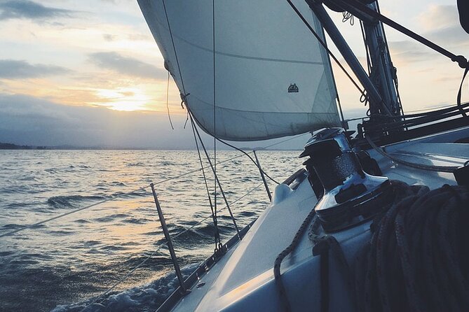 Whale & Dolphin Watching Boat Trip in Tenerife On a Sailing Boat (3 Hr) - What the wildlife commentary adds