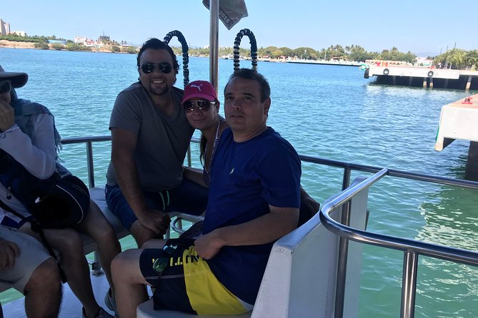 Whale & Dolphin Watching Cruise in Puerto Vallarta All Inclusive - Whale watching in Banderas Bay
