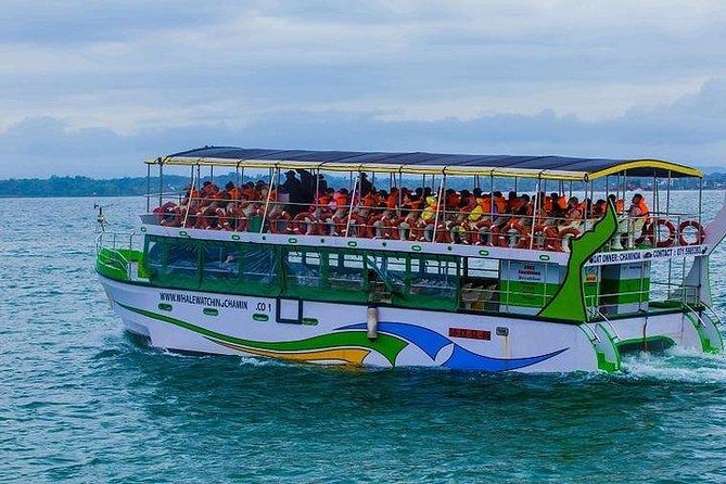 Whale & Dolphin Watching Day Tour including Handunugoda Teafactory - Leaving Bentota early for Mirissa