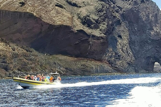 Whale & Dolphin Watching in Madeira - Is $59.89 a Fair Price?