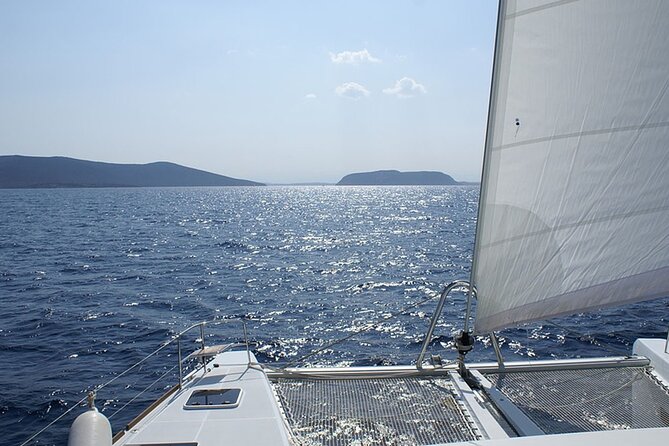 Whale & Dolphin Watching in Tenerife (Puerto Colon) On a Large Catamaran - The small-bay swim stop