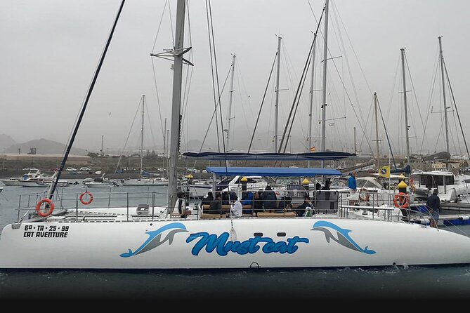 Whale & Dolphin Watching With Mustcat Virgin Coast Trip On a Large Catamaran - A swim stop near Palm Mar