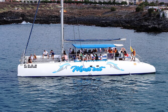 Whale & Dolphin Watching With Mustcat Virgin Coast Trip On a Large Catamaran - Who will enjoy this catamaran outing
